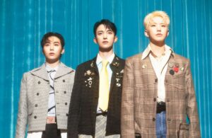 Seventeen, BSS, Teleparty