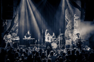 Catch The Young Live
